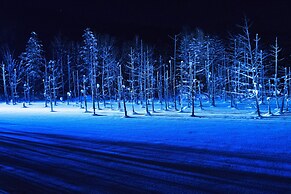 Spa & Hotel Resort Furano La Terre