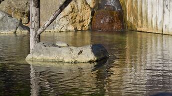 Niseko Annupuri Onsen Yugokorotei