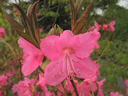 Pension & Restaurant Bistare Kana