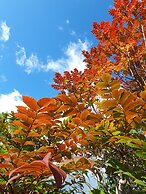 Pension & Restaurant Bistare Kana