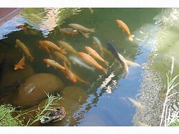 Sapporo Oriental Hotel