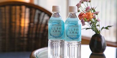 Iwakuni Kokusai Kanko Hotel