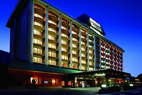 Ooedo Onsen Monogatari Premium Kinugawa Kanko Hotel