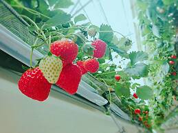 Mercure Miyagi Zao Resort & Spa