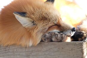 Mercure Miyagi Zao Resort & Spa