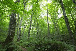 Hoshino Resorts Oirase Keiryu Hotel