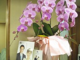 Hotel Crown Hills Imabari