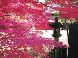 Smile Hotel Shirakawa