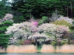 Smile Hotel Shirakawa