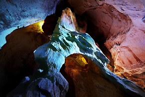 Mercure Kochi Tosa Resort & Spa