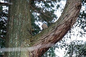 Kaze no Tani no Iori