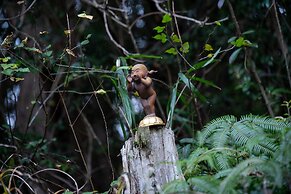 Kaze no Tani no Iori