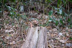 Kaze no Tani no Iori