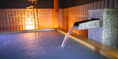 Business Hotel Wako