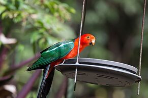 Crater Lakes Rainforest Cottages