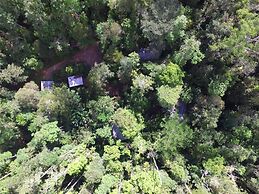 Crater Lakes Rainforest Cottages