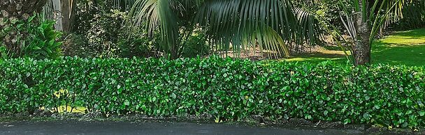 Stay Kerikeri Boutique Apartments and Studios