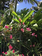 Stay Kerikeri Boutique Apartments and Studios