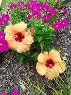 Stay Kerikeri Boutique Apartments and Studios