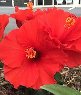 Stay Kerikeri Boutique Apartments and Studios