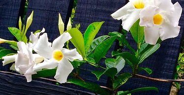 Stay Kerikeri Boutique Apartments and Studios