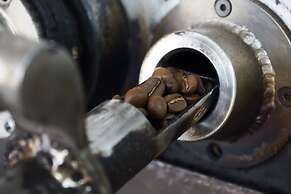 Alpine Golf Resort Chiang Mai