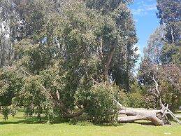 Grampians View Cottages and Units