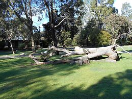 Grampians View Cottages and Units