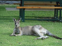 Grampians View Cottages and Units