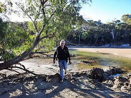 Crayfish Creek Van & Cabin Park