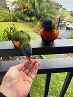 Shelly Beach Holiday Park