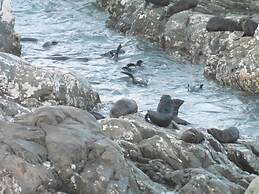 The Peninsula Kaikoura