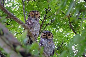 ThaiLife Wellness and Meditation Resort