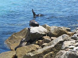 Top of the Town Motel Narooma