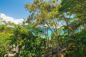 Little Cove Court