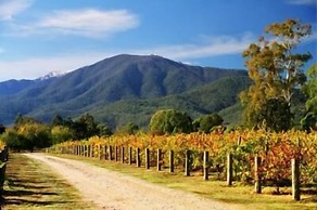 The Park Mount Beauty