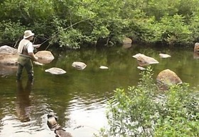 The Park Mount Beauty