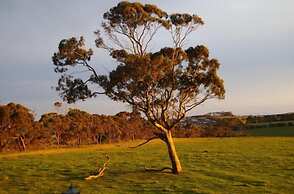 The View on Grossmans