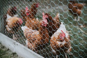 Araluen Boutique Accommodation