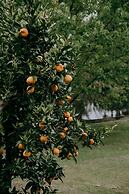 Araluen Boutique Accommodation