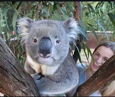 Araluen Boutique Accommodation