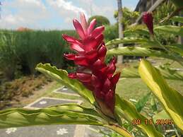 Biyukukung Suites & Spa