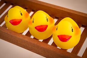 Margate Cottage Boutique Bed & Breakfast