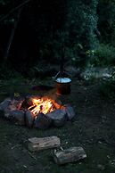 Mt Warning Rainforest Park