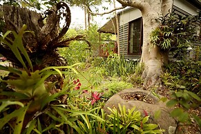 Mt Warning Rainforest Park