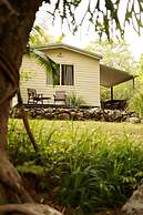 Mt Warning Rainforest Park