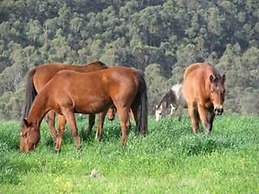 Hill Top Country Guest House
