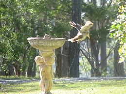 Hill Top Country Guest House