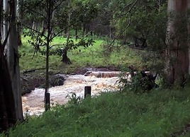 Spring Creek Mountain Cafe & Cottages