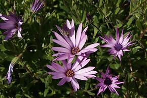 Warrnambool Motel and Holiday Park